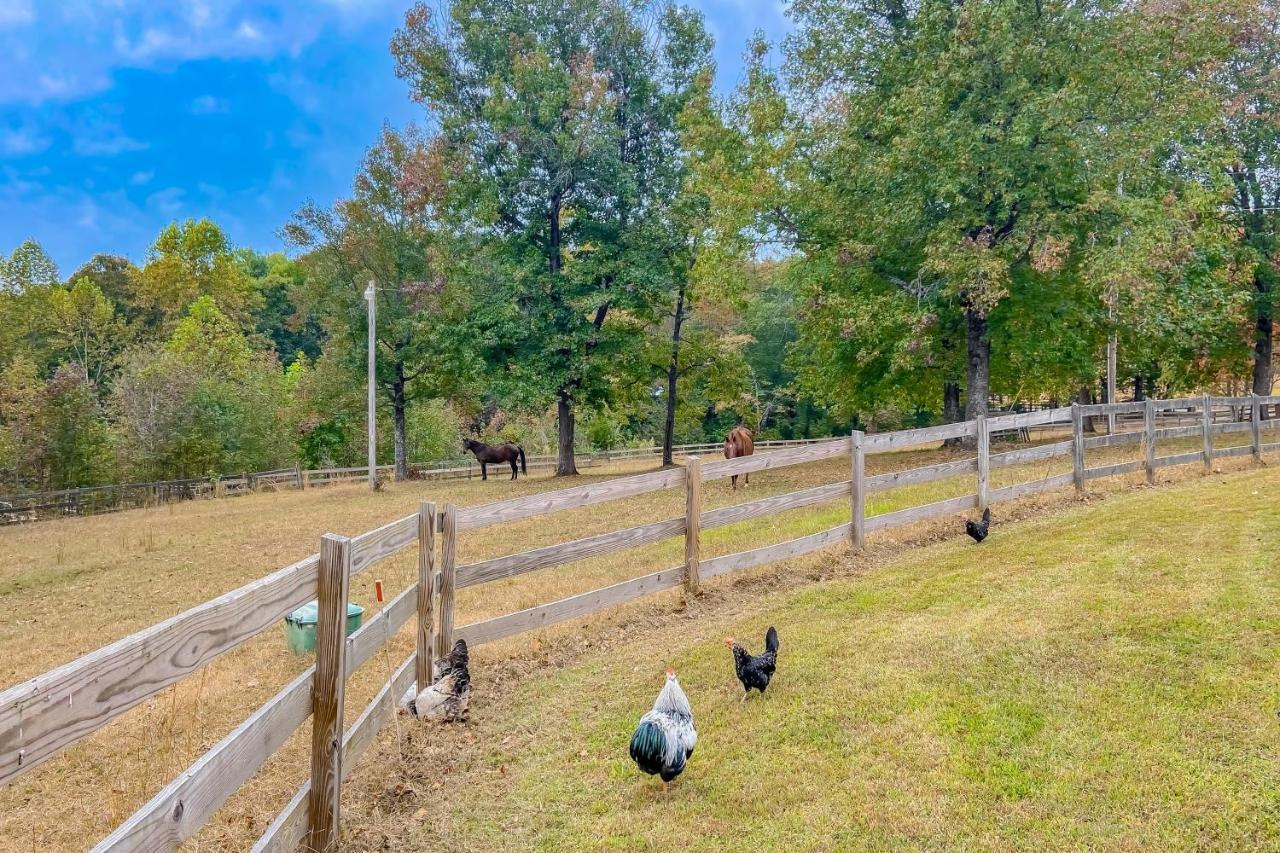 The Cottage At Overlook Farm Landrum 외부 사진